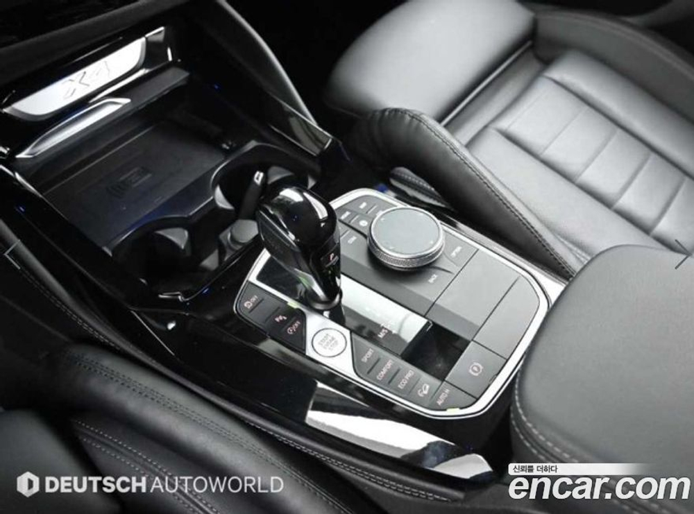 BMW X4 (G02) xDrive20i xLine (01.2023)