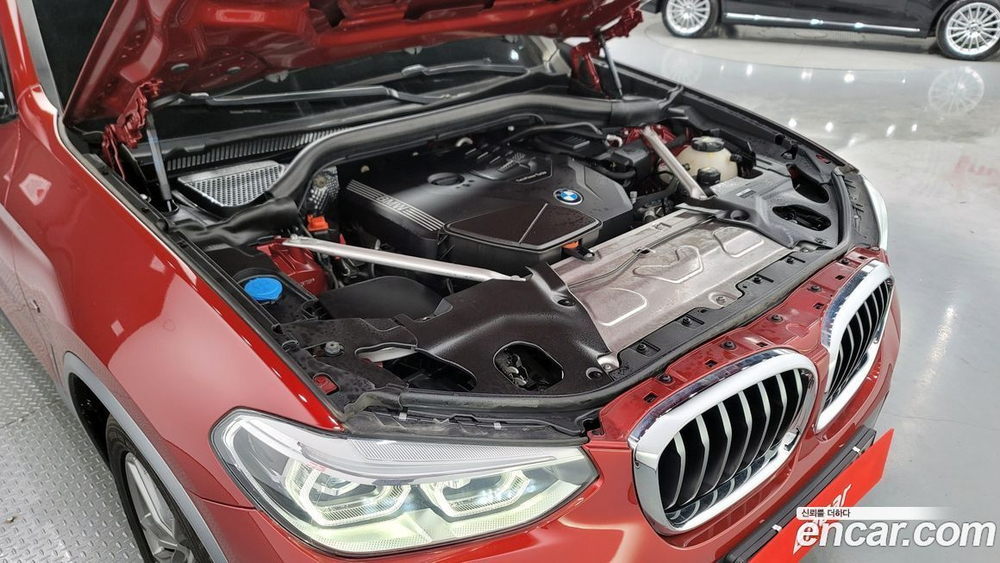BMW X4 (G02) xDrive20i M Sports X (04.2020)