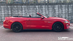 Ford Mustang GT Convertible (04.2020)