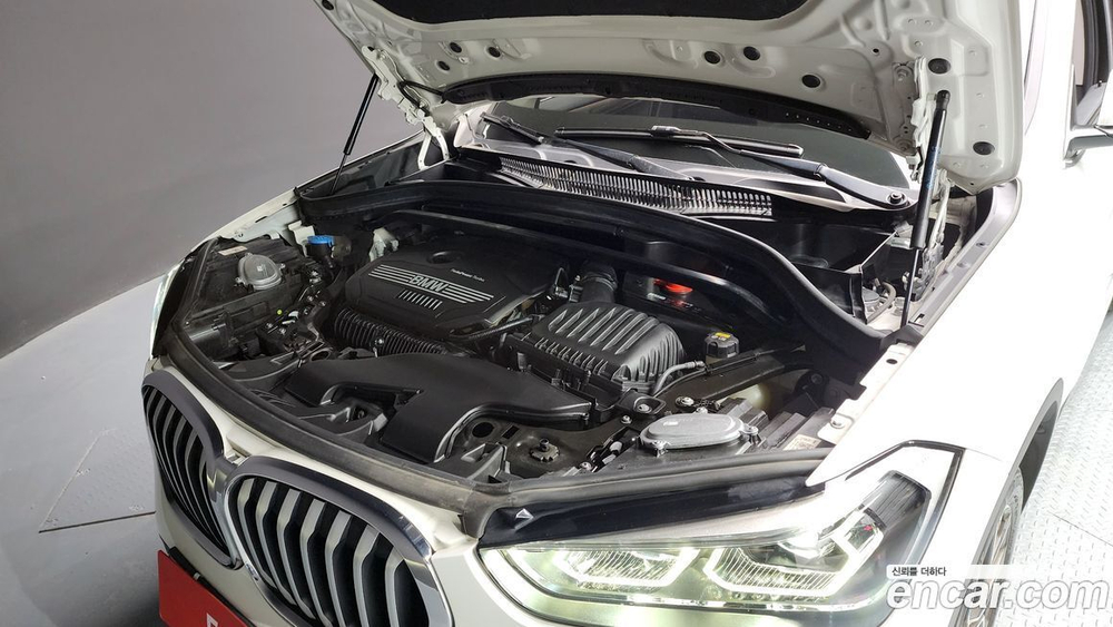 BMW X1 (F48) xDrive 20i xLine (02.2021)