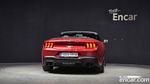 Ford Mustang 7 Generation 2.3 에코부스트 Premium Convertible (03.2024)