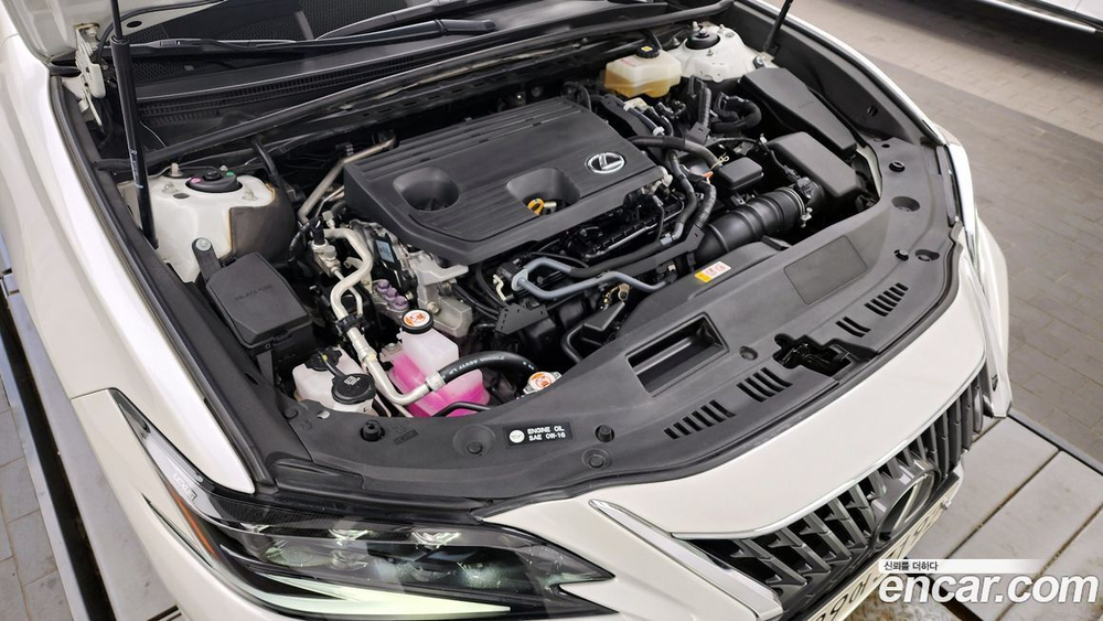 Lexus ES300h 7 Generation Executive (10.2022)