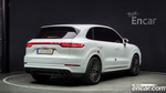 Porsche Cayenne (PO536) 3.0 (06.2021)