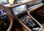 Porsche Panamera (971) 2.9 AWD Platinum Editions (07.2023)