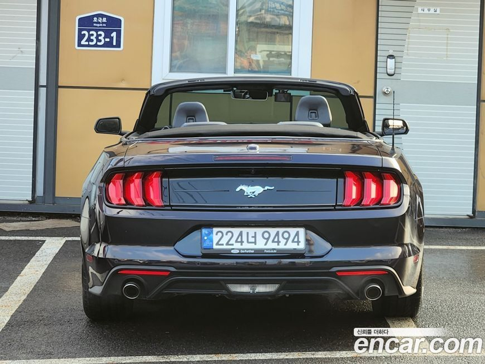 Ford Mustang Convertible (10.2022)