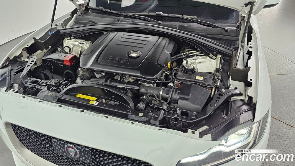 Jaguar F-PACE 20d R-Sport (09.2019)