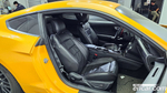 Ford Mustang GT Coupe (12.2019)