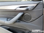 BMW X1 (F48) xDrive 20i xLine (12.2020)