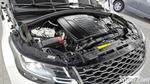 Land Rover Range Rover Bella 2.0 P250 R-Dynamic SE (03.2023)