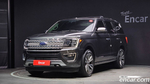 Ford Expedition Platinum 4WD (04.2021)