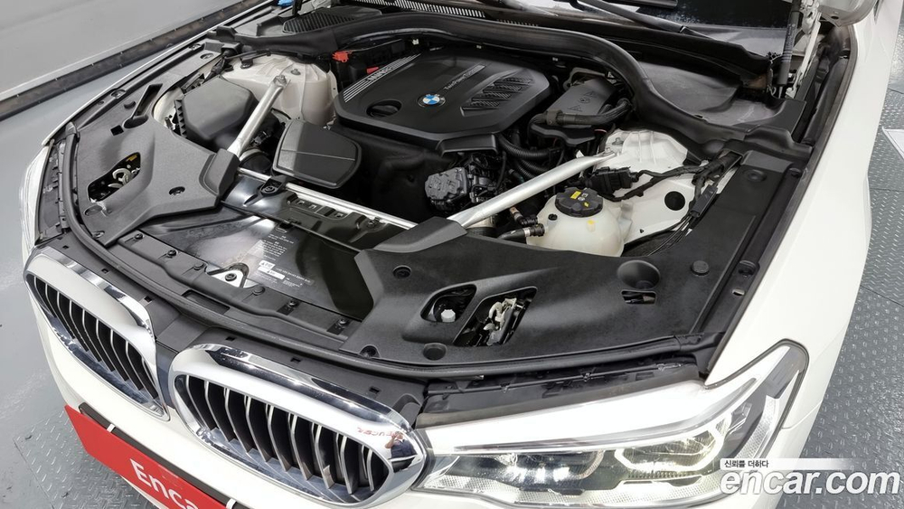 BMW 5 Series (G30) 520d Luxury Plus (05.2020)