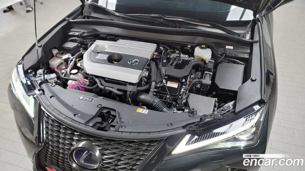 Lexus UX250h 2.0 F-Sport 2WD (04.2021)