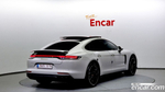Porsche Panamera (971) 2.9 AWD E-Hybrid Platinum Editions (07.2023)