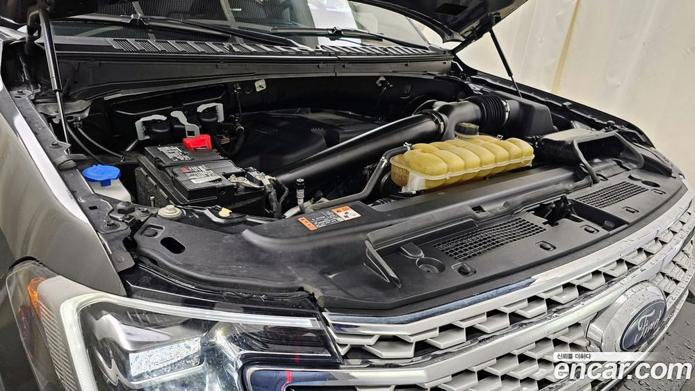 Ford Expedition Platinum 4WD (04.2021)