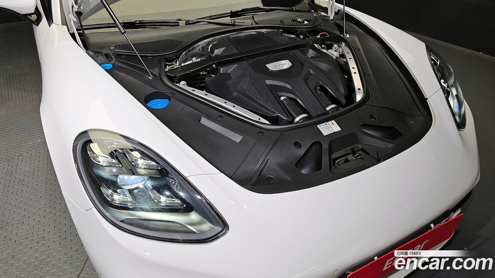 Porsche Panamera (971) 2.9 AWD (03.2021)