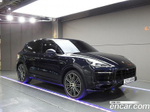 Porsche Cayenne (PO536) 3.0 E-Hybrid (06.2020)