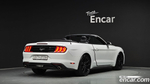 Ford Mustang Convertible (09.2019)