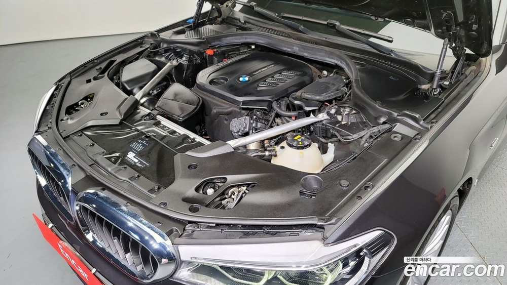 BMW 5 Series (G30) 520d Luxury Plus (03.2020)