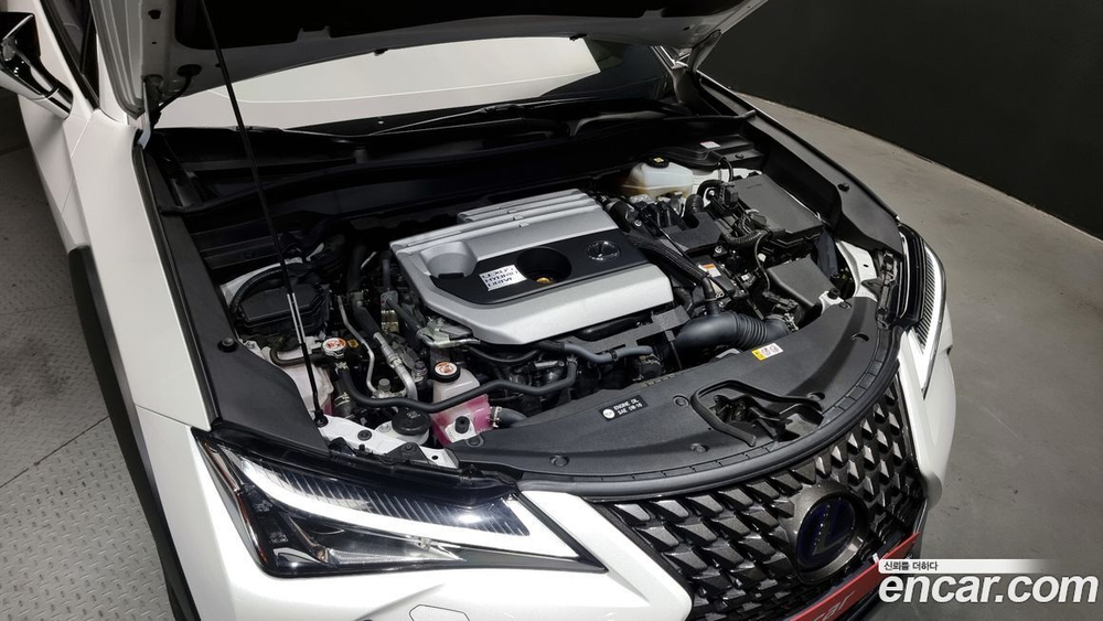Lexus UX250h 2.0 2WD (05.2021)