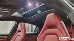 Porsche Panamera (971) 2.9 AWD E-Hybrid Platinum Editions (04.2023)