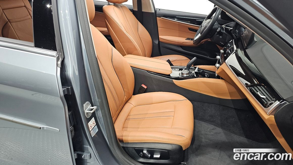 BMW 5 Series (G30) 520i Luxury (08.2019)