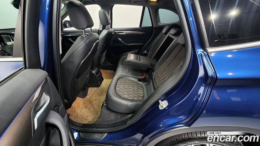 BMW X1 (F48) xDrive 18d xLine (10.2020)