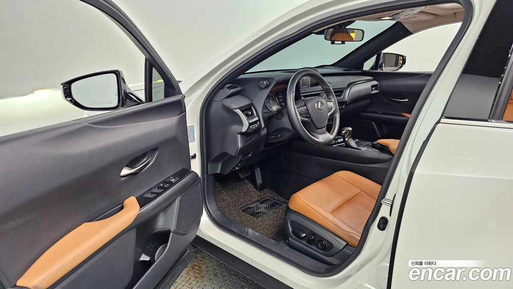 Lexus UX250h 2.0 2WD (12.2019)