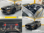 Ford Mustang Convertible (10.2019)