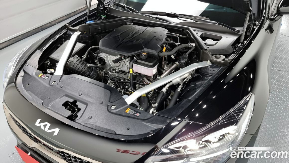 Kia Stinger Meister 2.5 Platinum (11.2022)