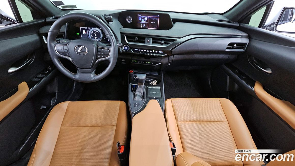 Lexus UX250h 2.0 2WD (01.2020)