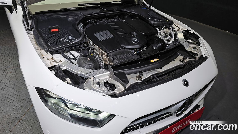 Mercedes-Benz CLS-Class C257 CLS300d AMG Line (08.2020)