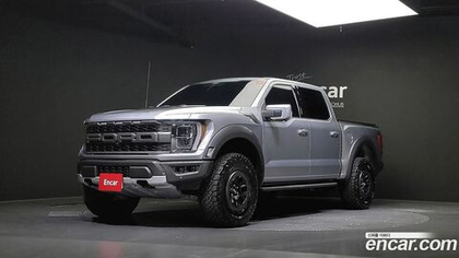 Ford F150 3.5L (12.2022)