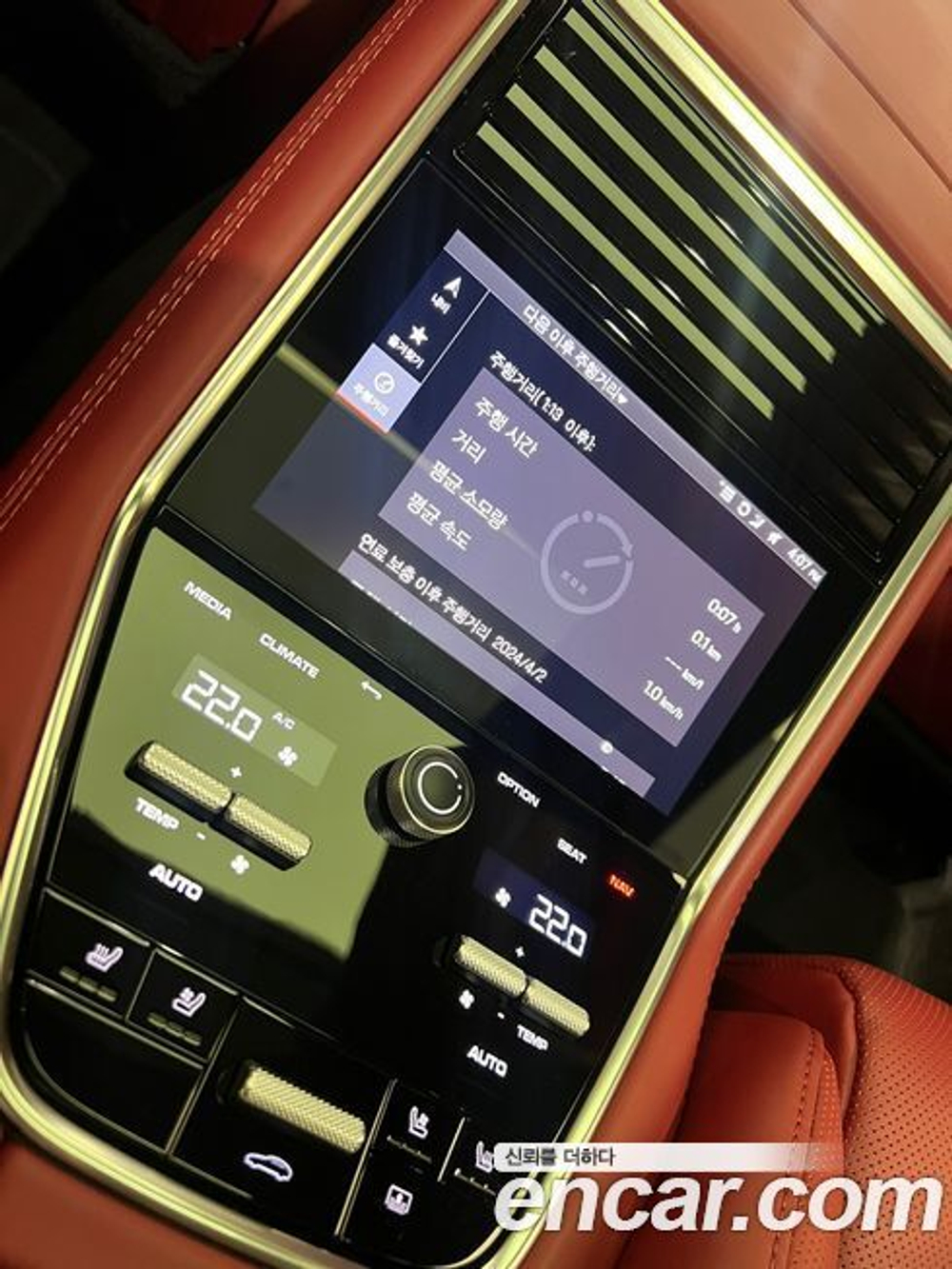 Porsche Panamera (971) 2.9 AWD Platinum Editions (07.2022)