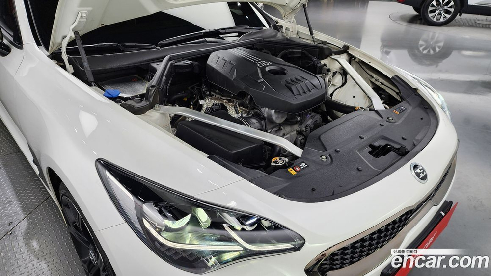 Kia Stinger 2.0 Turbo AWD (06.2020)
