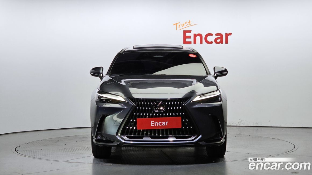 Lexus NX350h 2 Generation Premium (01.2024)