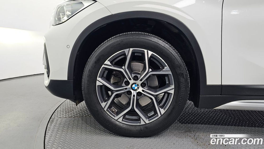 BMW X1 (F48) xDrive 18d xLine (10.2020)