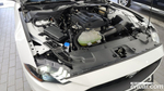 Ford Mustang Convertible (11.2022)