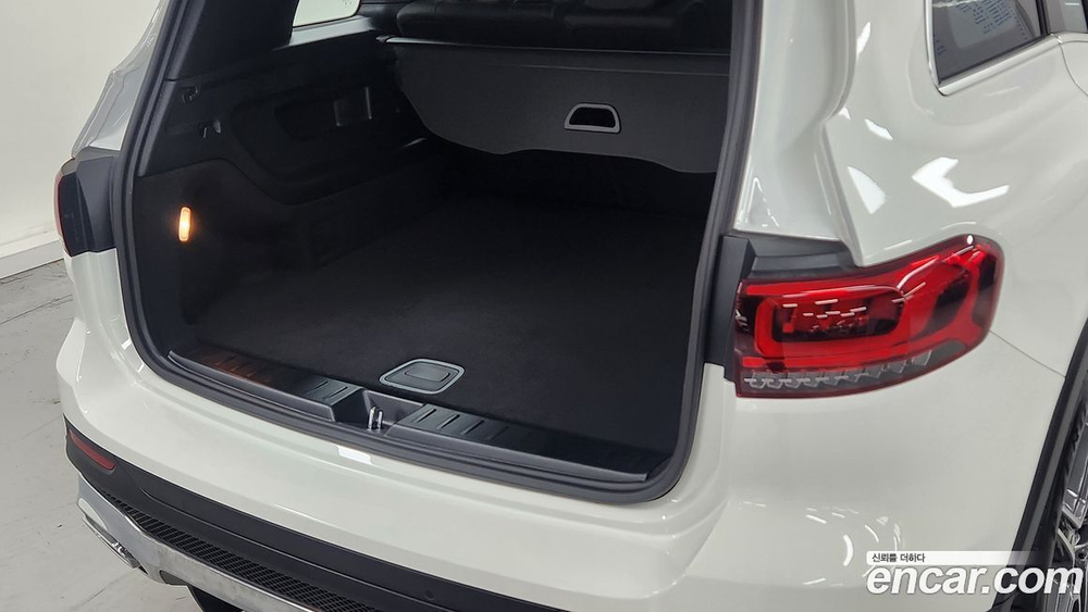 Mercedes-Benz GLB-Class X247 GLB250 4MATIC (10.2023)