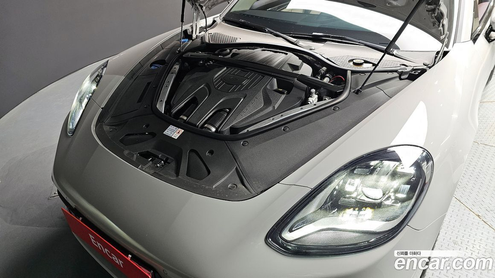 Porsche Panamera (971) 2.9 AWD Platinum Editions (04.2023)