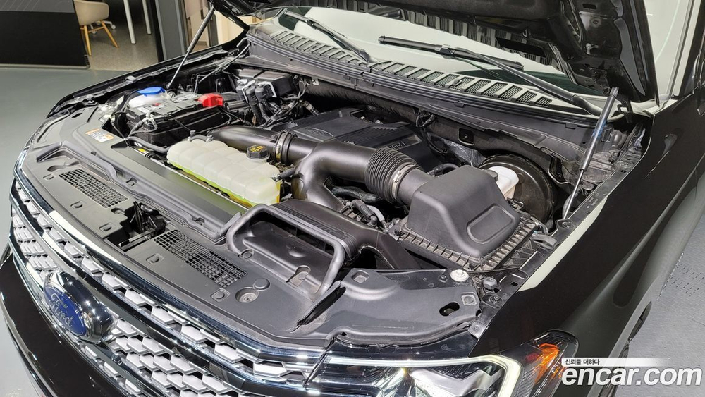 Ford Expedition Platinum 4WD (12.2021)