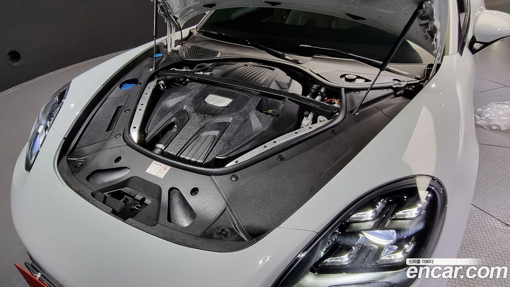 Porsche Panamera (971) 3.0 AWD (06.2020)