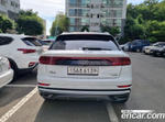 Audi Q8 50 TDI Quattro Premium (05.2020)