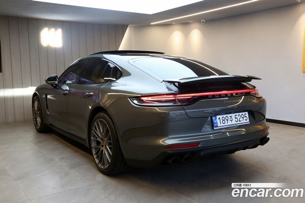 Porsche Panamera (971) 2.9 AWD Platinum Editions (08.2022)