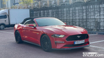 Ford Mustang GT Convertible (04.2020)