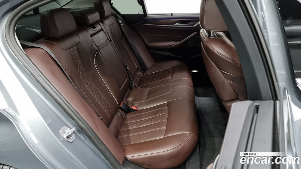 BMW 5 Series (G30) 530i Luxury (06.2023)
