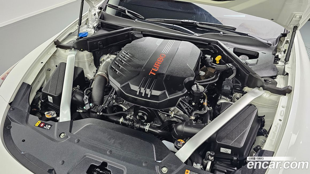 Kia Stinger Meister 3.3 GT AWD MASTER Turbo 패키지 (11.2020)