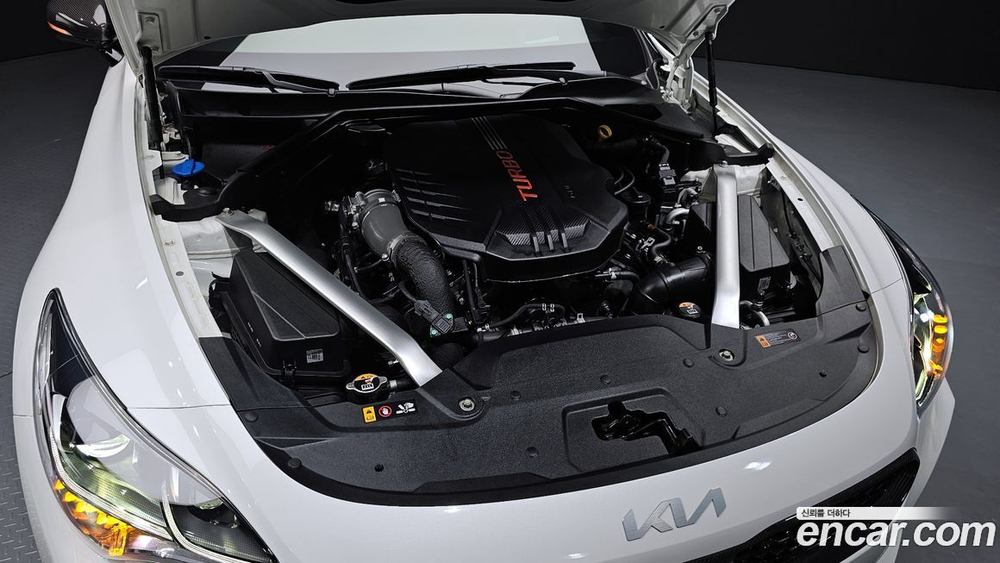 Kia Stinger Meister 3.3 GT AWD 아크로 Editions (06.2022)
