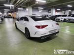 Mercedes-Benz CLS-Class C257 CLS300d AMG Line (03.2020)