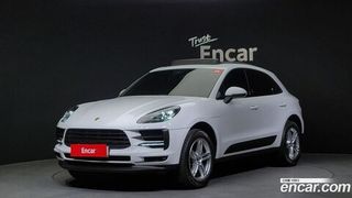 Macan