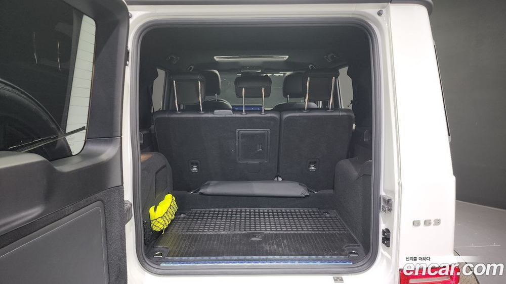 Mercedes-Benz G-Class W463b AMG G63 (04.2022)